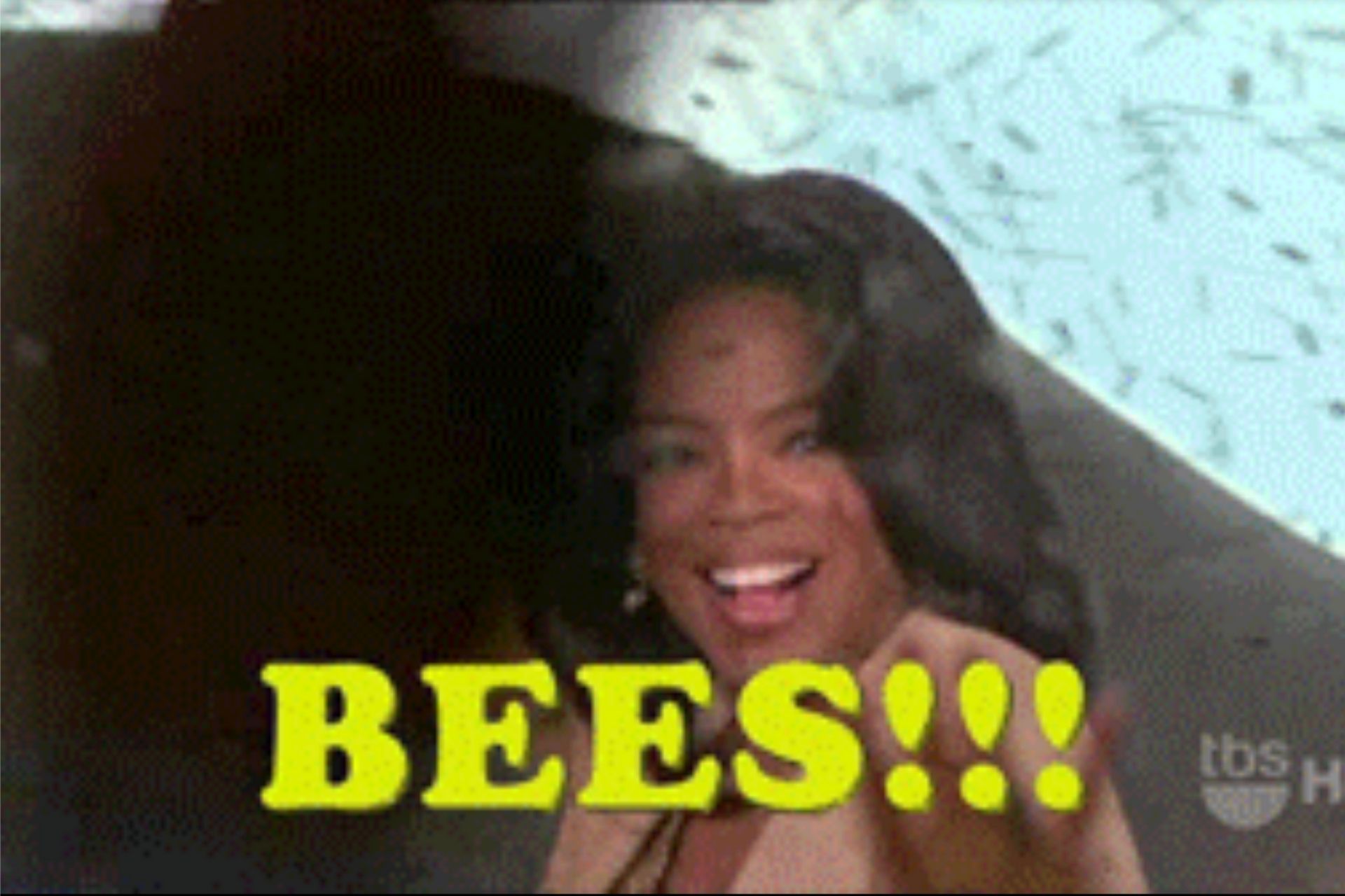 Bees Bees Bees