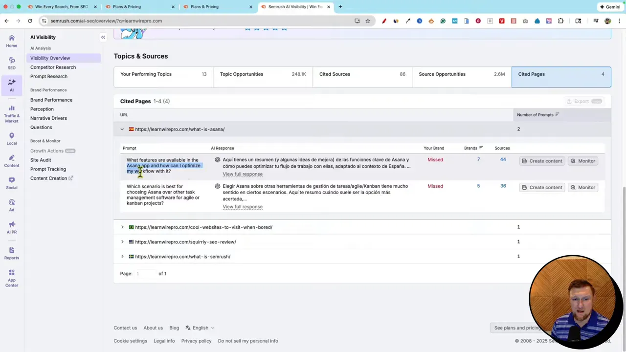 SEMrush One Topics & Sources with a highlighted prompt demonstrating prompt-level research